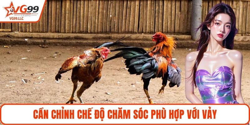 Cần chỉnh chế độ chăm sóc phù hợp với vảy