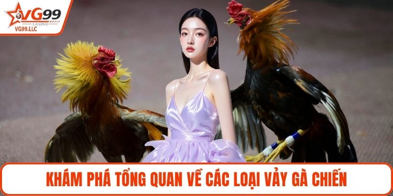 Khám phá tổng quan về các loại vảy gà chiến