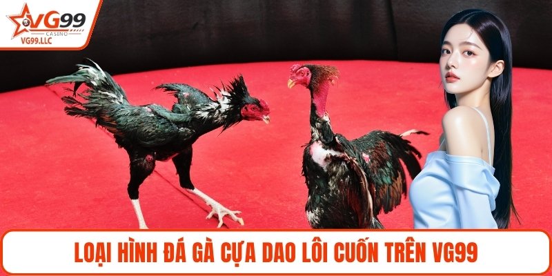 Loại hình đá gà cựa dao lôi cuốn trên VG99