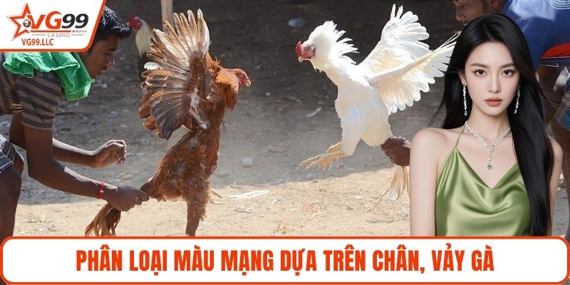 Phân loại màu mạng dựa trên chân, vảy gà