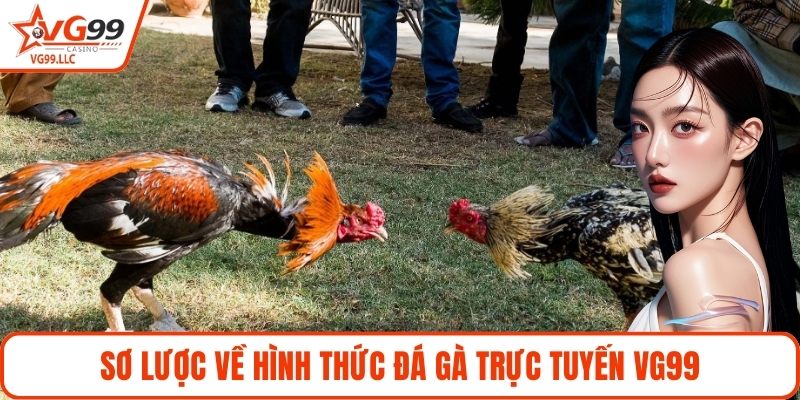 Sơ lược về hình thức đá gà trực tuyến VG99