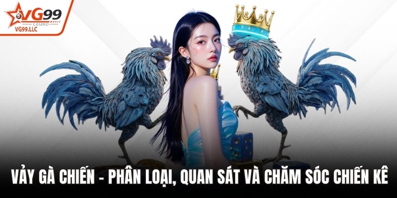 Vảy gà chiến