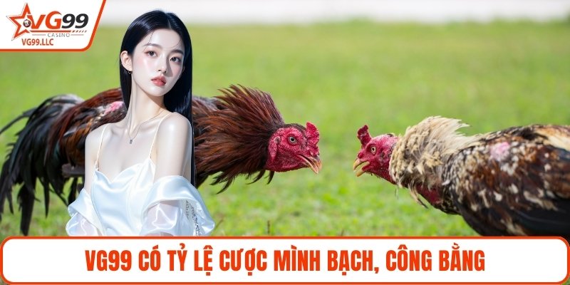VG99 có tỷ lệ cược mình bạch, công bằng